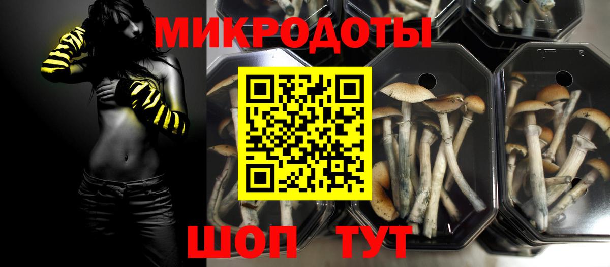цены   Вход с VPN  Тутаев  Псилоцибиновые грибы Psilocybine cubensis 